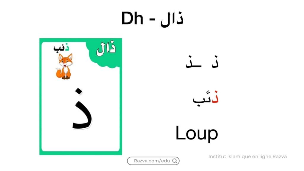 cours arabe gratuit alphabet 9