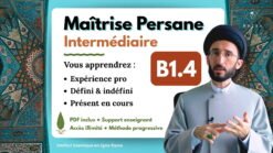 Cours de persan en ligne – Module 10 sur l’expérience professionnelle et la grammaire avancée du persan
