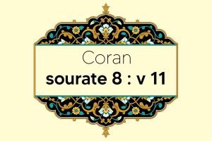 coran-s8-v11