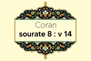 coran-s8-v14