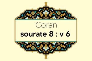 coran-s8-v6