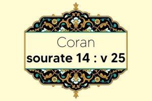 coran-s14-v25