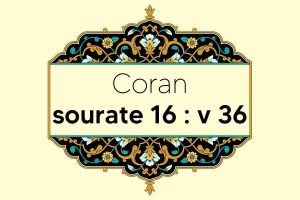 coran-s16-v36