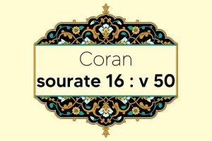 coran-s16-v50