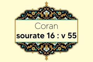 coran-s16-v55