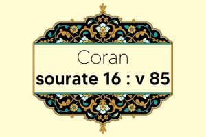 coran-s16-v85