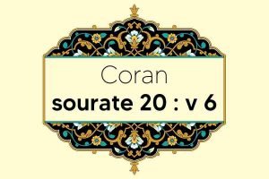 coran-s20-v6