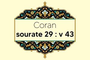 coran-s29-v43