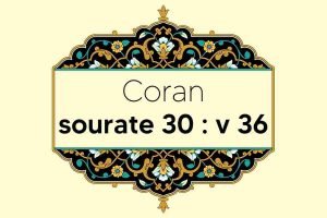 coran-s30-v36