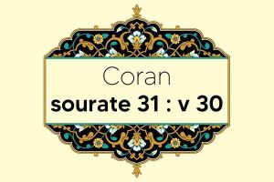 coran-s31-v30