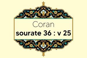 coran-s36-v25