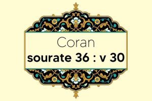 coran-s36-v30