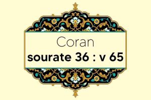 coran-s36-v65
