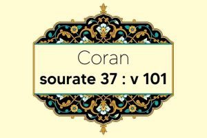 coran-s37-v101