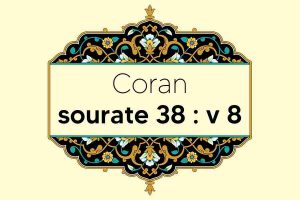 coran-s38-v8