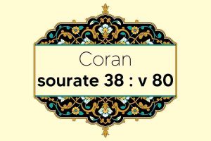 coran-s38-v80