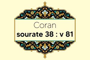 coran-s38-v81