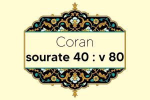 coran-s40-v80