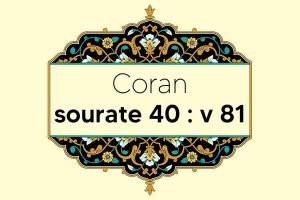 coran-s40-v81