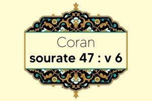 coran-s47-v6