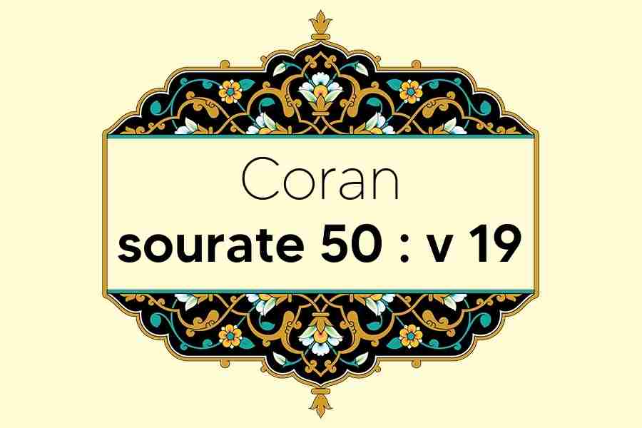 coran-s50-v19