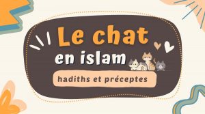 Le chat en islam, hadiths et préceptes