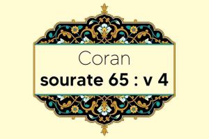 coran-s65-v4
