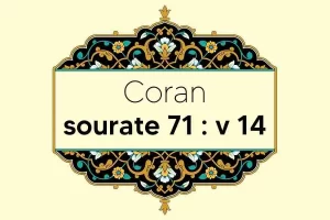 coran-s71-v14