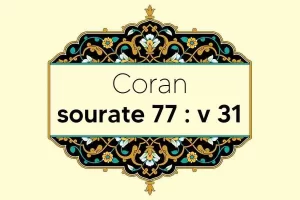 coran-s77-v31