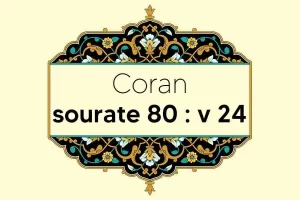 coran-s80-v24