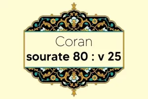 coran-s80-v25