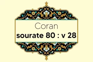 coran-s80-v28