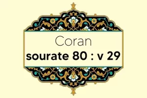 coran-s80-v29