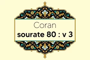 coran-s80-v3