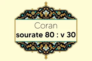 coran-s80-v30