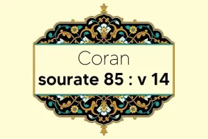 coran-s85-v14