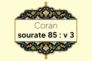 coran-s85-v3