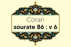 coran-s86-v6