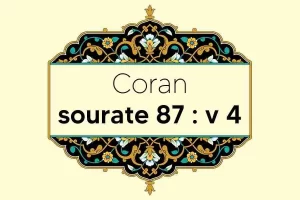 coran-s87-v4