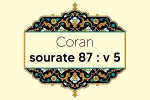 coran-s87-v5
