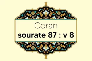 coran-s87-v8
