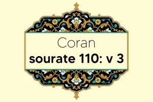 coran-s110-v3