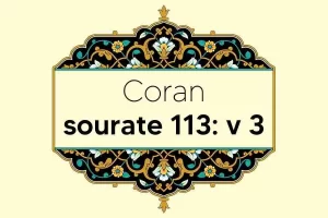coran-s113-v3